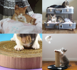 Upcycling Ideas