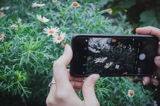 Great Phone Apps for your Nature Walk