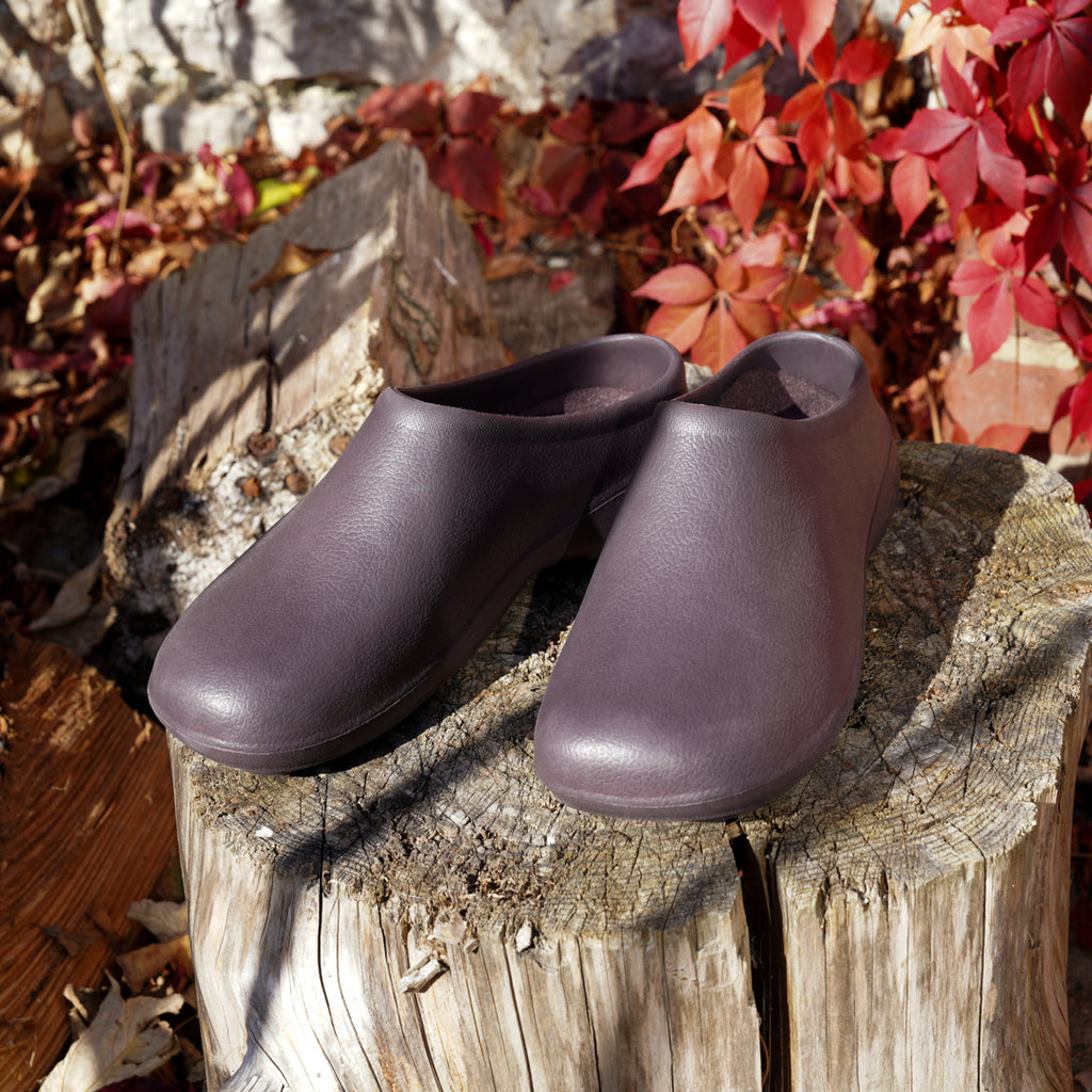 Pair of brown clogs on a wooden log with autumn leaves in the background